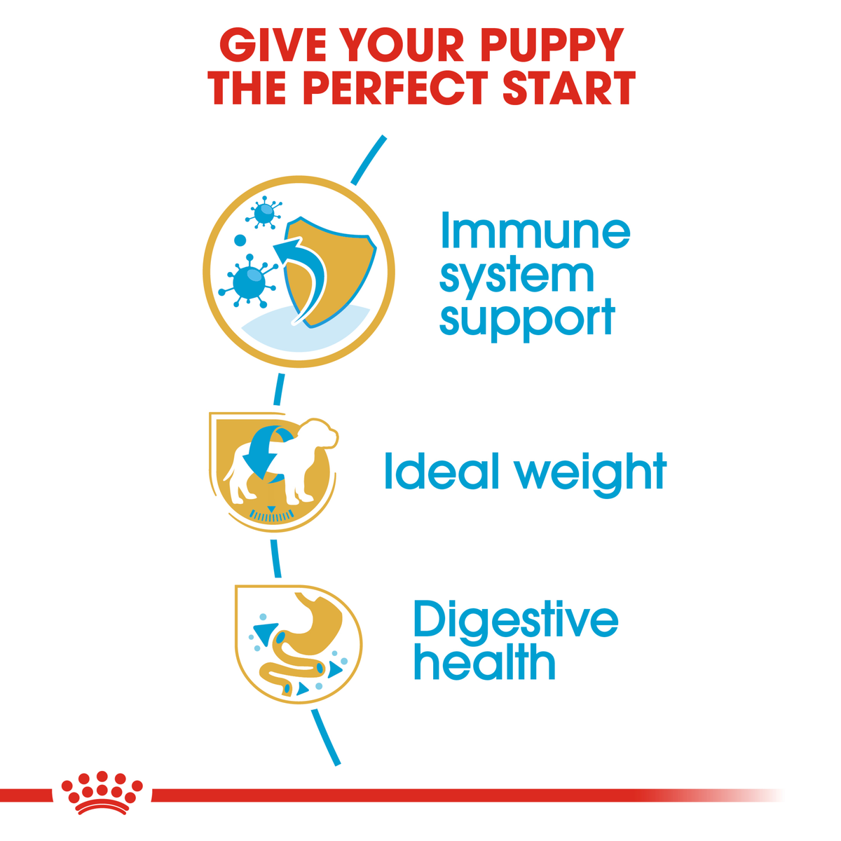 Royal Canin Miniature Schnauzer Puppy