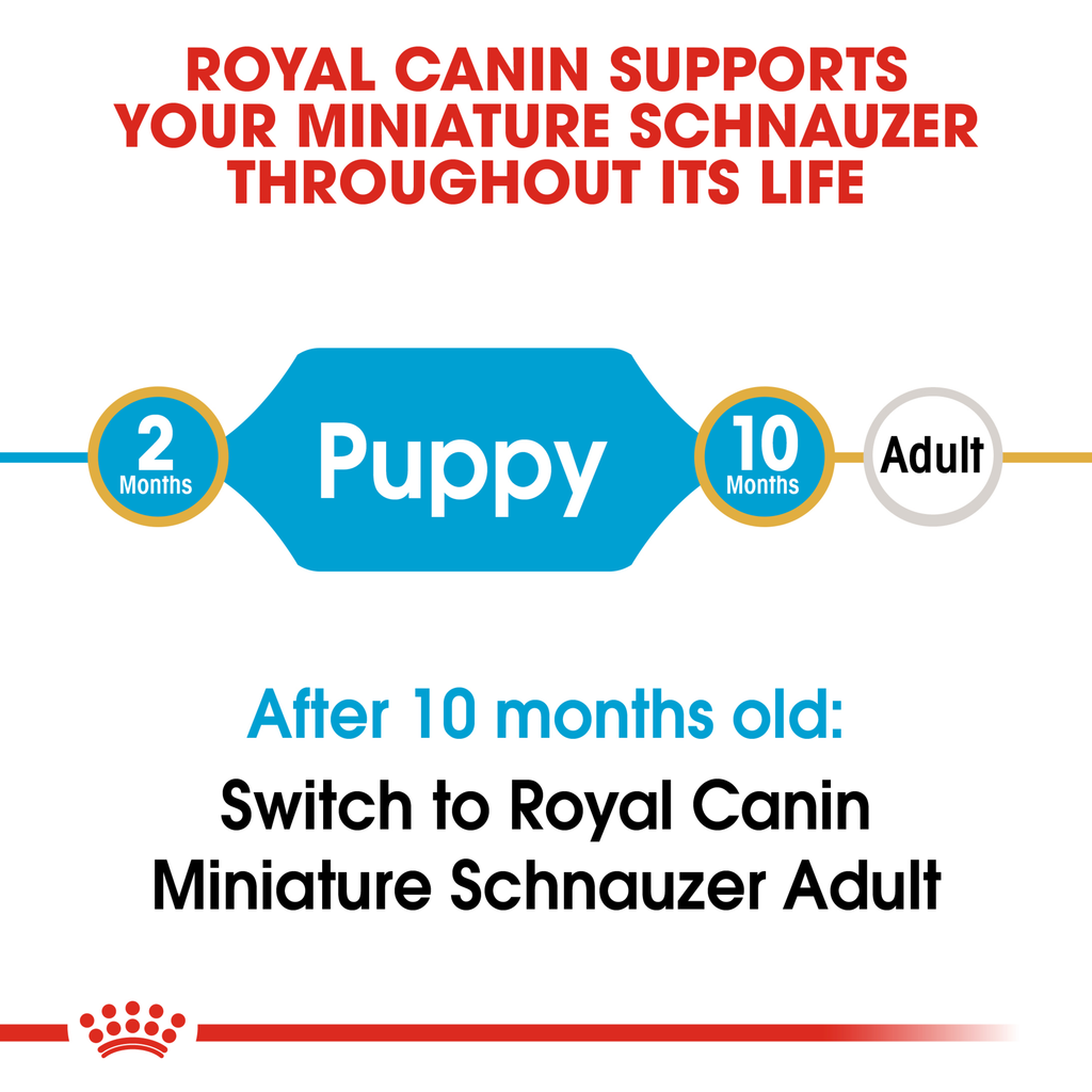 Royal Canin Miniature Schnauzer Puppy
