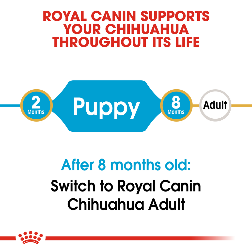 Royal Canin Chihuahua Puppy