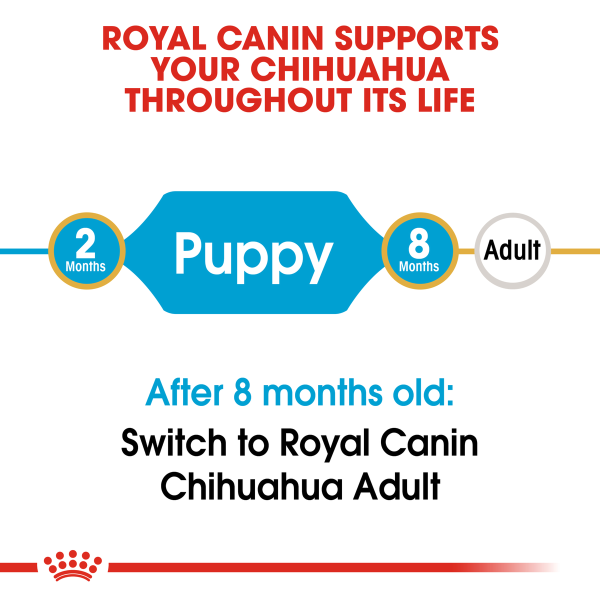 Royal Canin Chihuahua Puppy