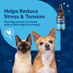 NaturVet Quiet Moments with Hemp Seed Oil Calming Supplement Drops for Dogs and Cats, Bacon Flavor, 1 fl oz