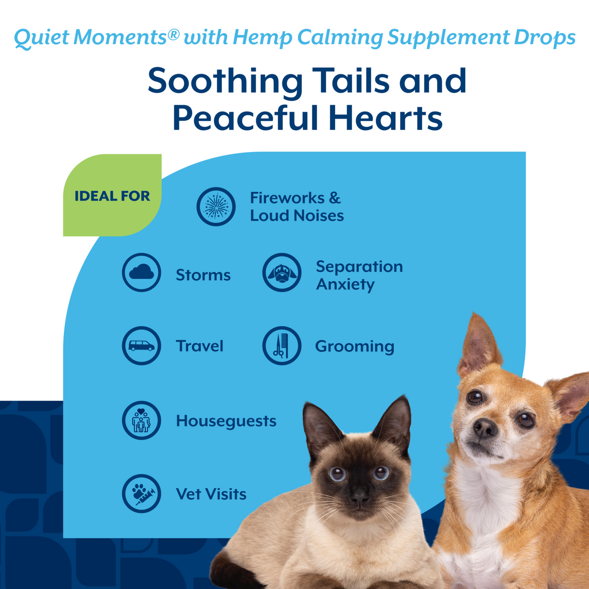 NaturVet Quiet Moments with Hemp Seed Oil Calming Supplement Drops for Dogs and Cats, Bacon Flavor, 1 fl oz