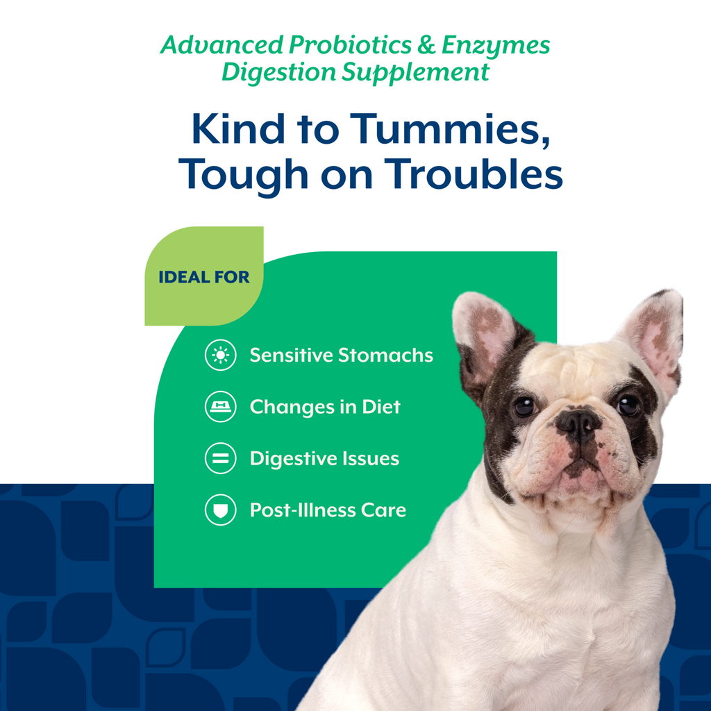 NaturVet Advanced Probiotics & Enzymes Digestion Supplement for Dogs, Bacon & Chicken Flavor, 70 Count