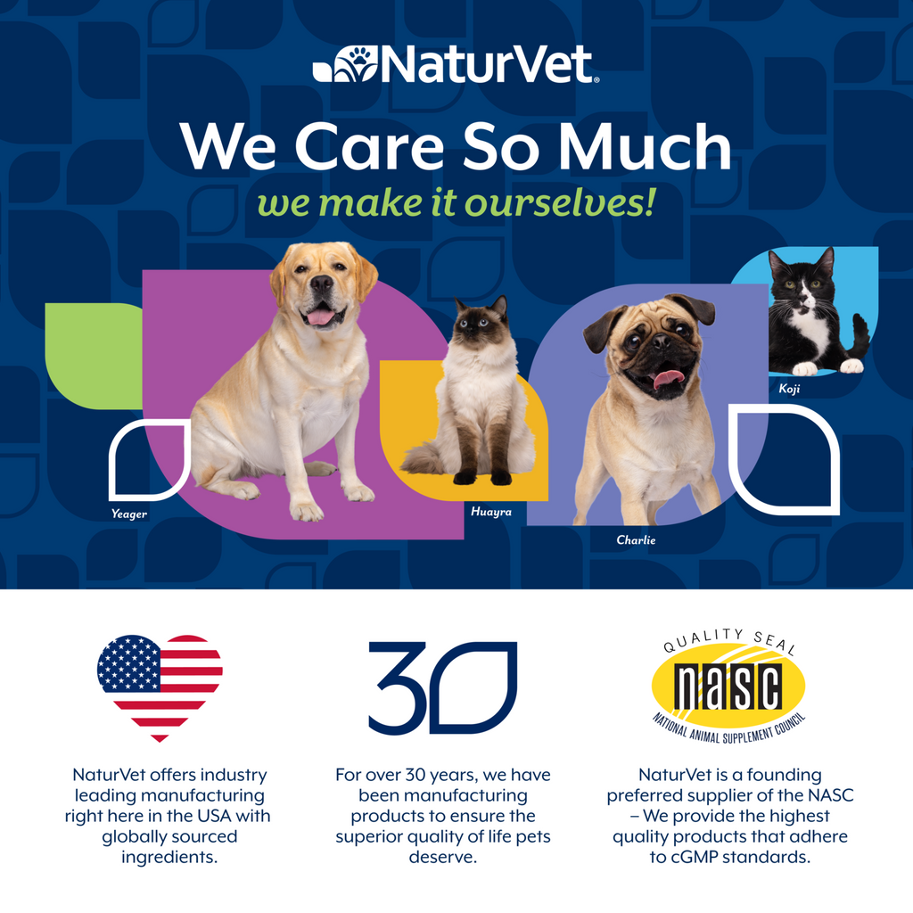 NaturVet Advanced Probiotics & Enzymes Digestion Supplement for Dogs, Bacon & Chicken Flavor, 70 Count