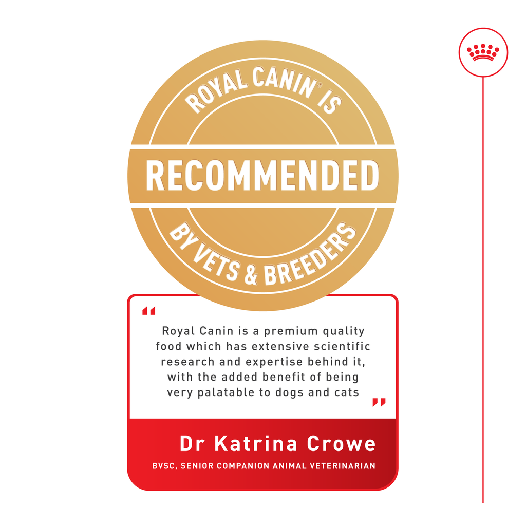 Royal Canin Shih Tzu Loaf Wet Dog Food