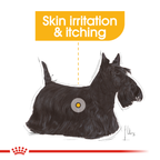 Royal Canin Dermacomfort Loaf Wet Dog Food