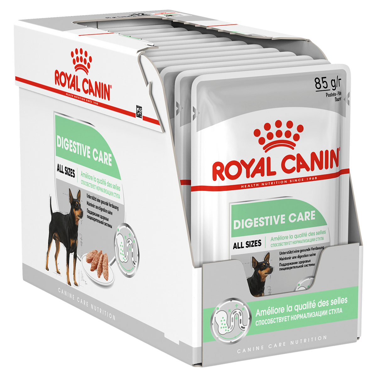 Royal Canin Digestive Care Loaf Wet Dog Food