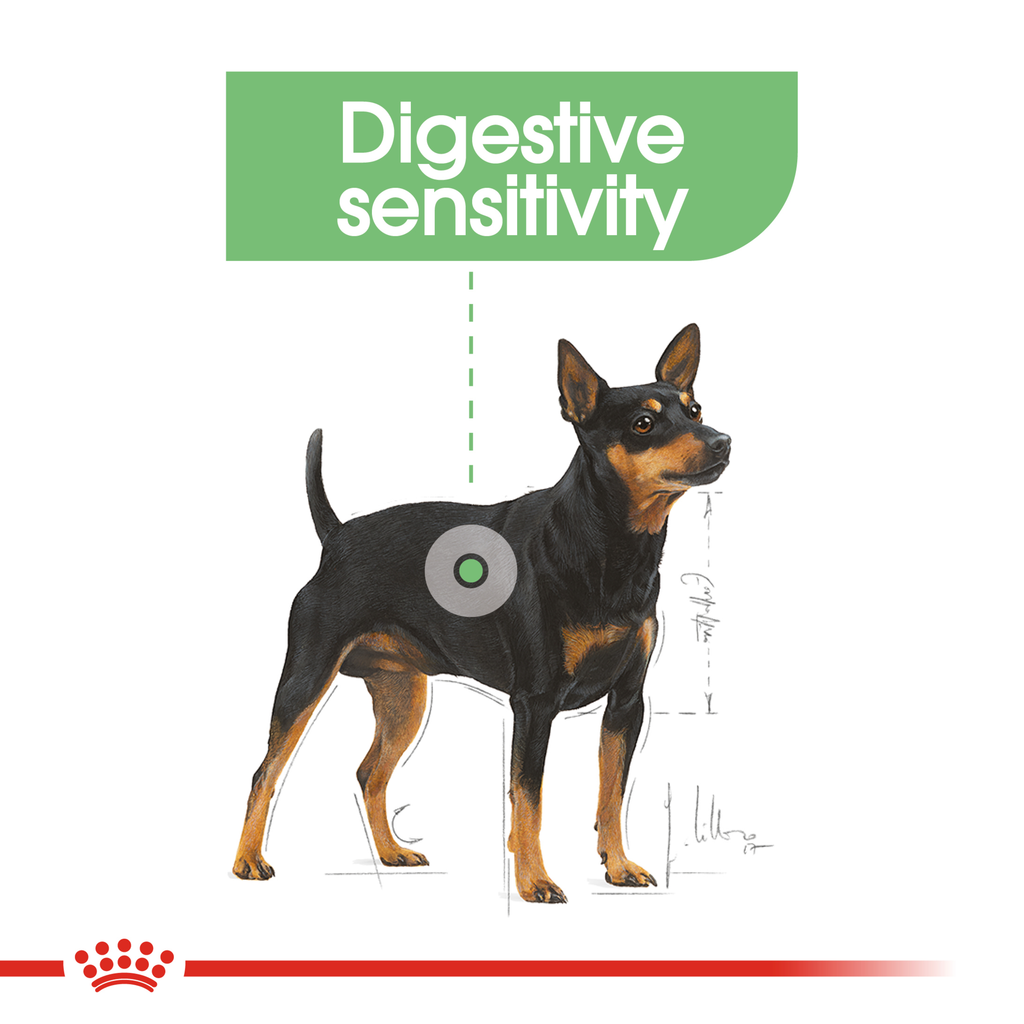 Royal Canin Digestive Care Loaf Wet Dog Food