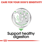 Royal Canin Digestive Care Loaf Wet Dog Food