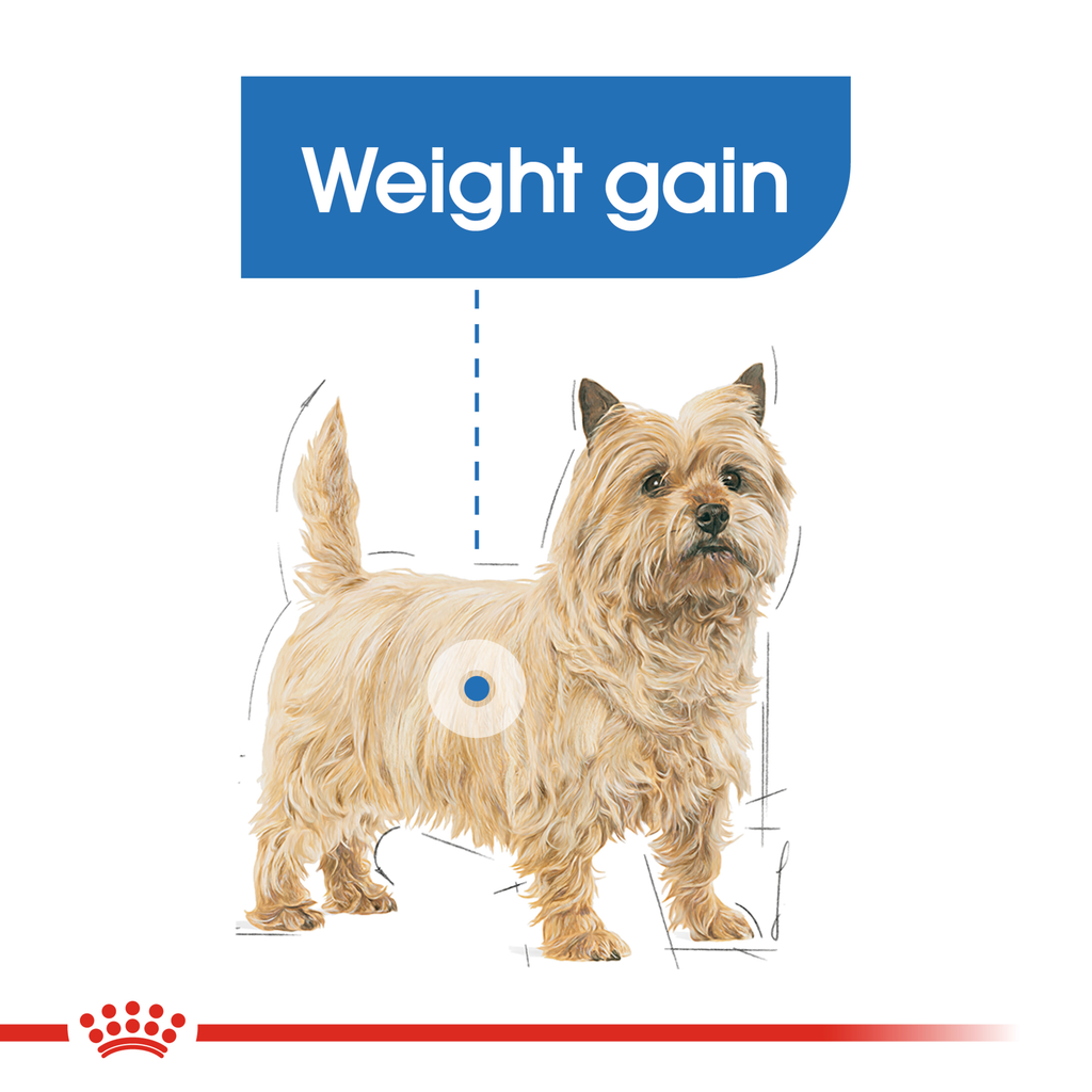 Royal Canin Wet Dog Food Light Weight Care Loaf