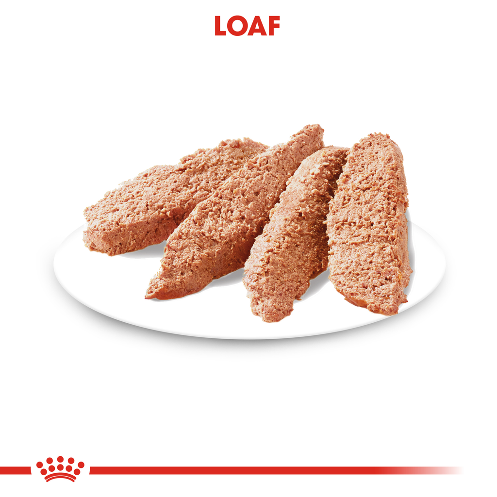 Royal Canin Wet Dog Food Light Weight Care Loaf