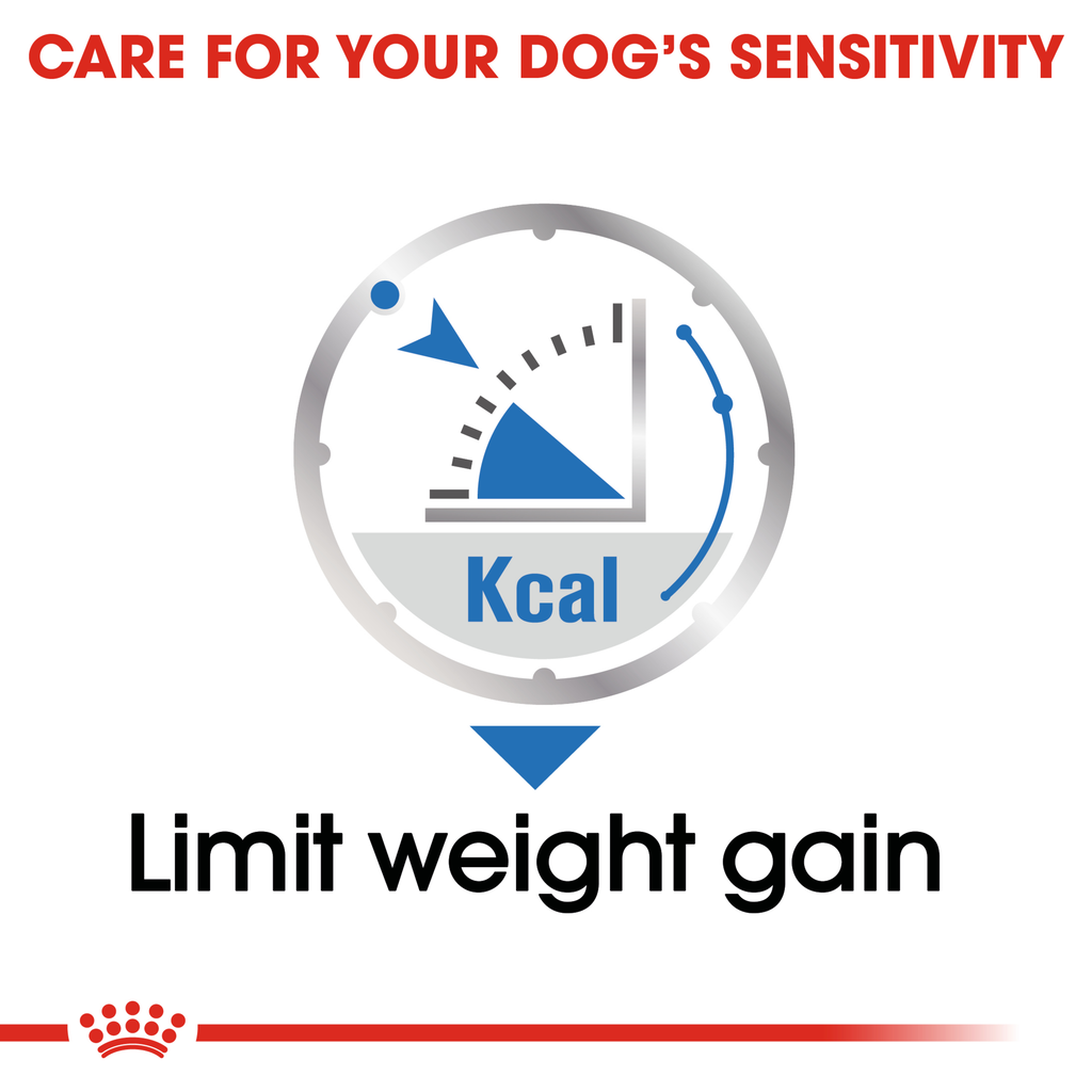 Royal Canin Wet Dog Food Light Weight Care Loaf