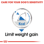 Royal Canin Wet Dog Food Light Weight Care Loaf