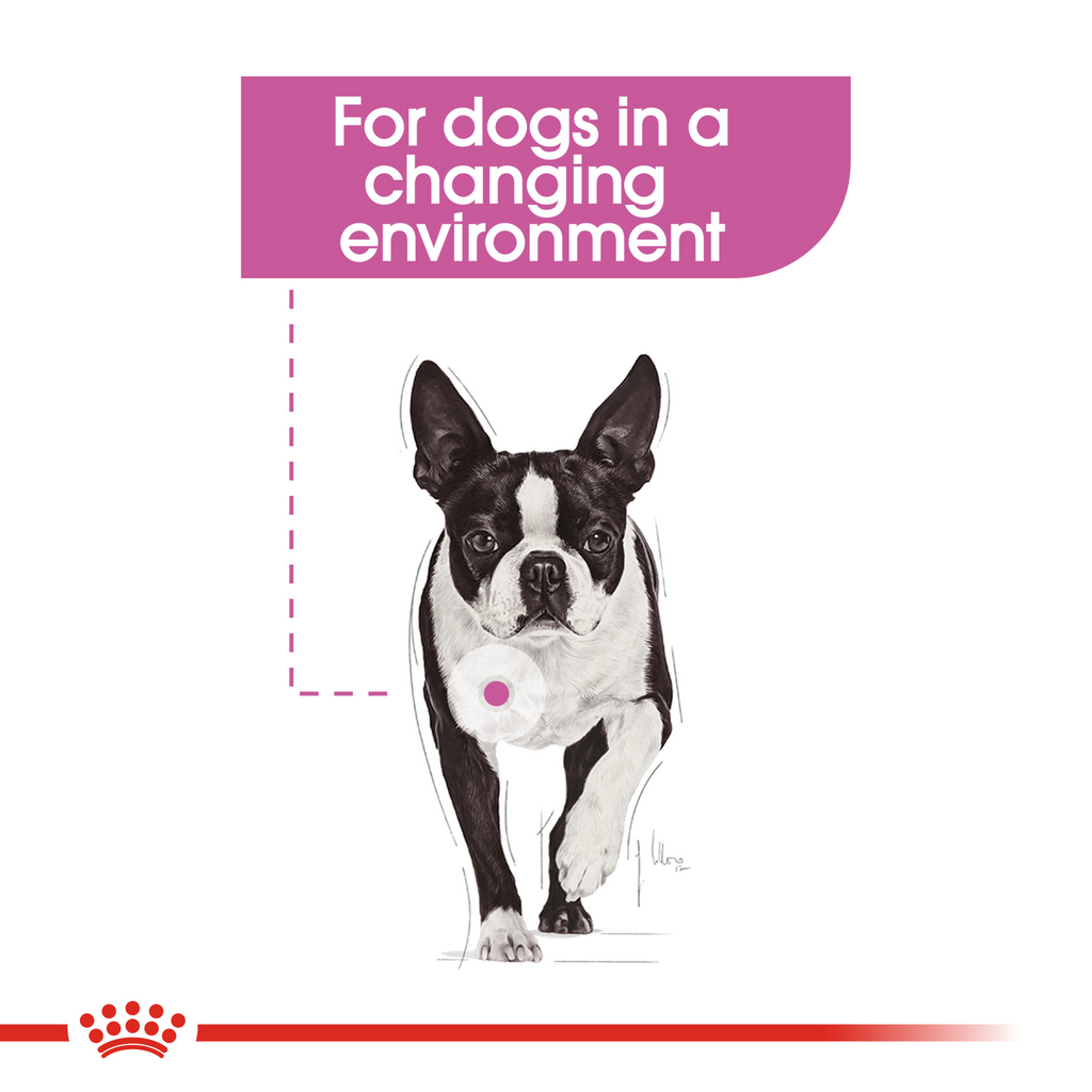 Royal Canin Relax Care Loaf Wet Dog Food