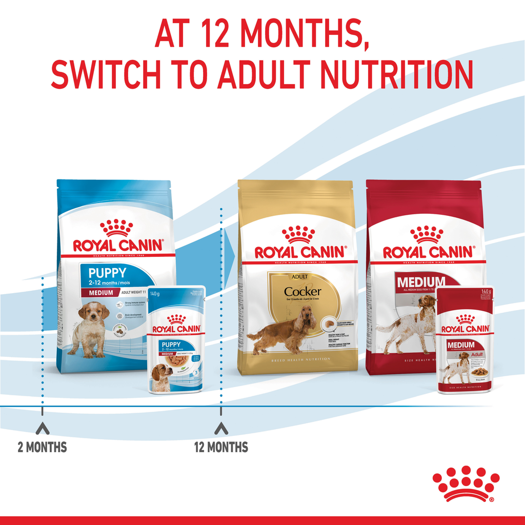 Royal Canin Medium Puppy 140gx10 Pouches