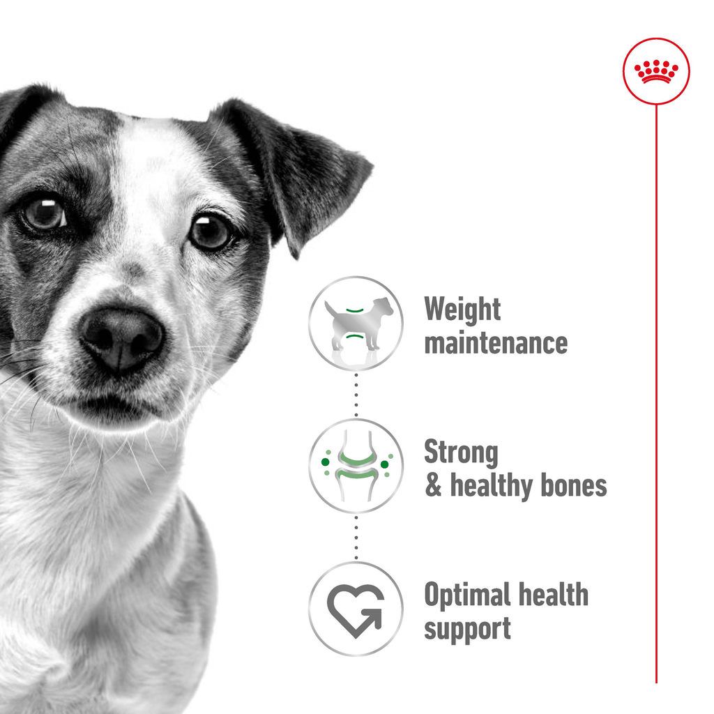 Royal Canin Mini Adult Gravy Wet Dog Food