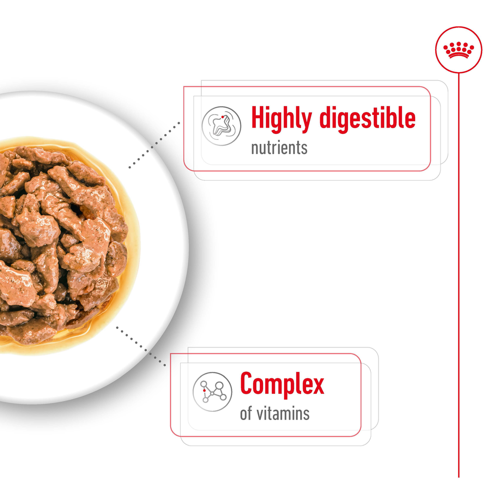 Royal Canin Mini Adult Gravy Wet Dog Food