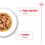 Royal Canin Mini Adult Gravy Wet Dog Food