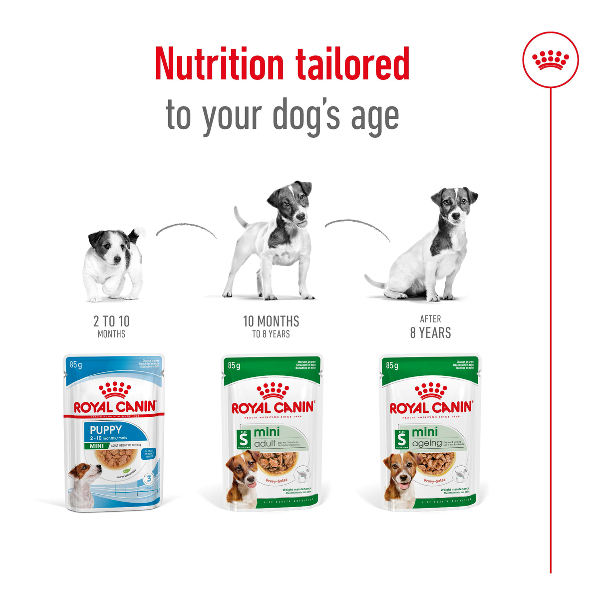 Royal Canin Mini Adult Gravy Wet Dog Food