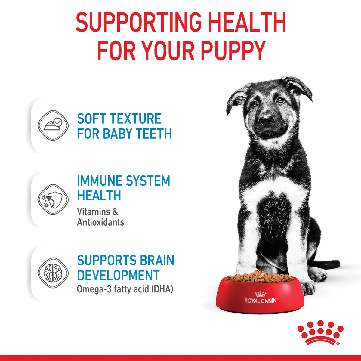 Royal Canin Maxi Puppy 140gx10 Pouches