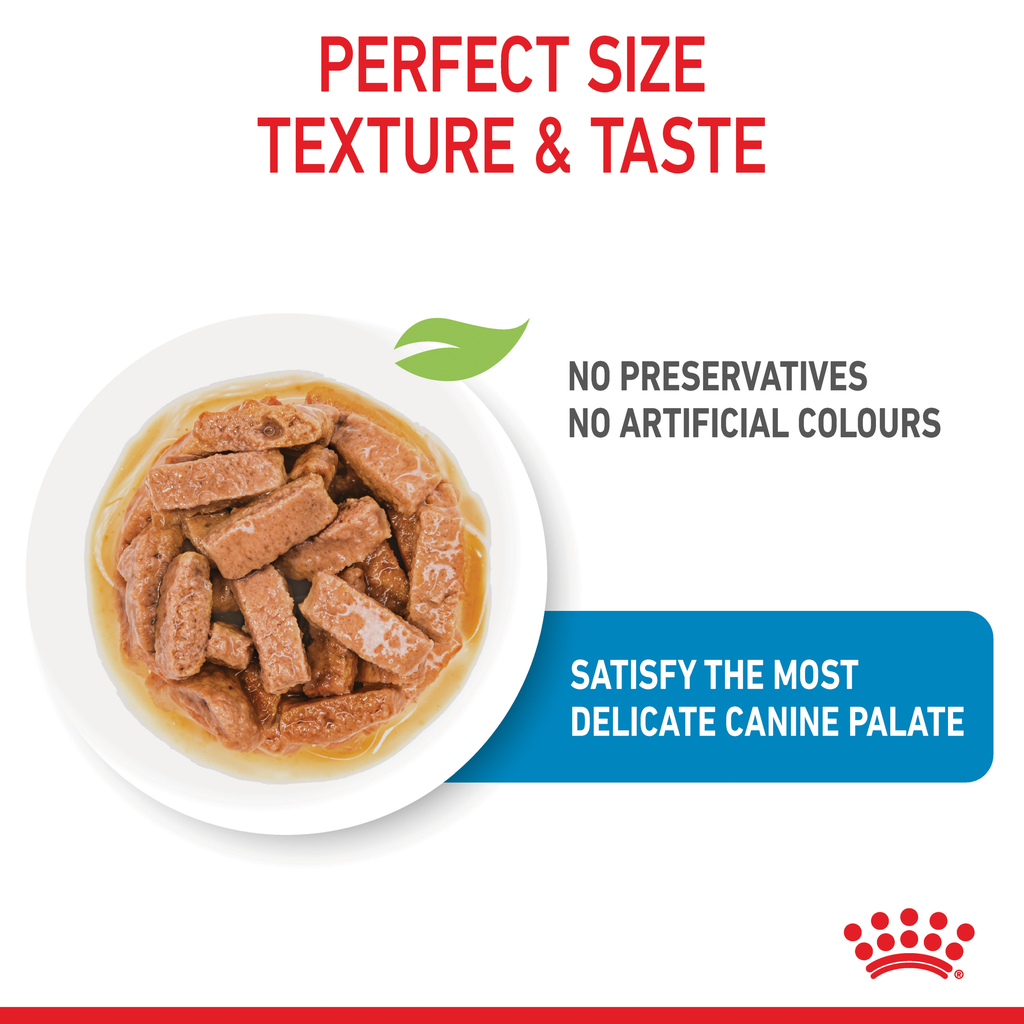 Royal Canin Maxi Puppy 140gx10 Pouches
