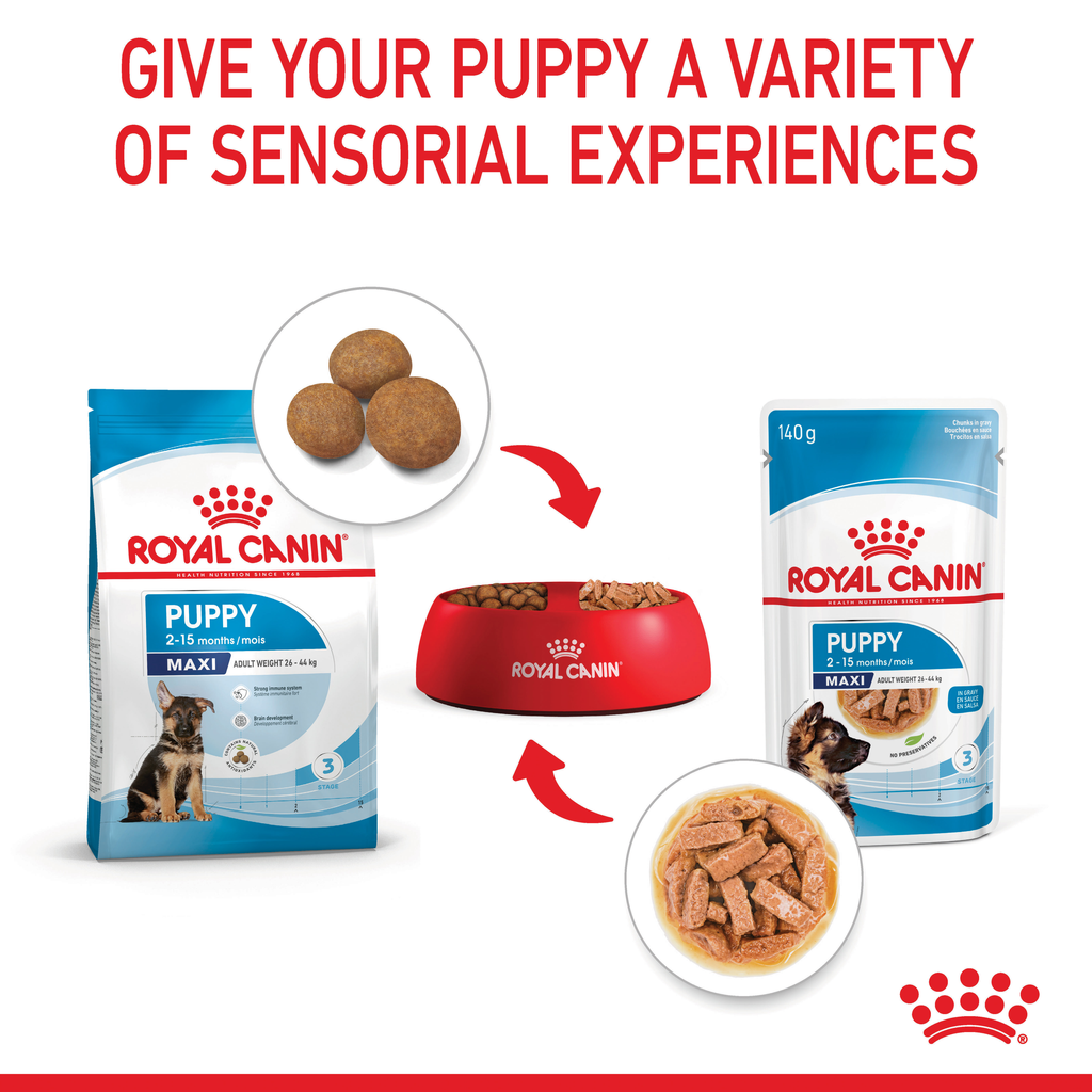 Royal Canin Maxi Puppy 140gx10 Pouches