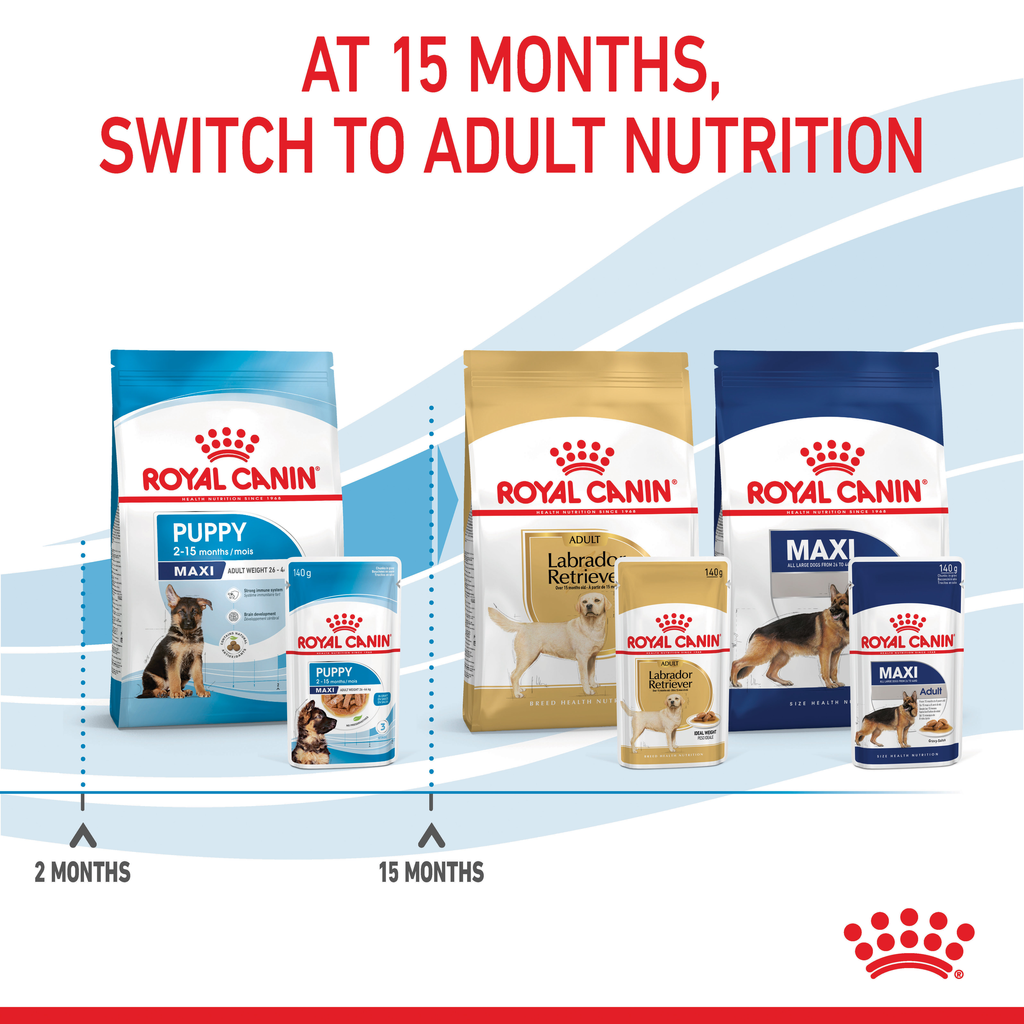 Royal Canin Maxi Puppy 140gx10 Pouches