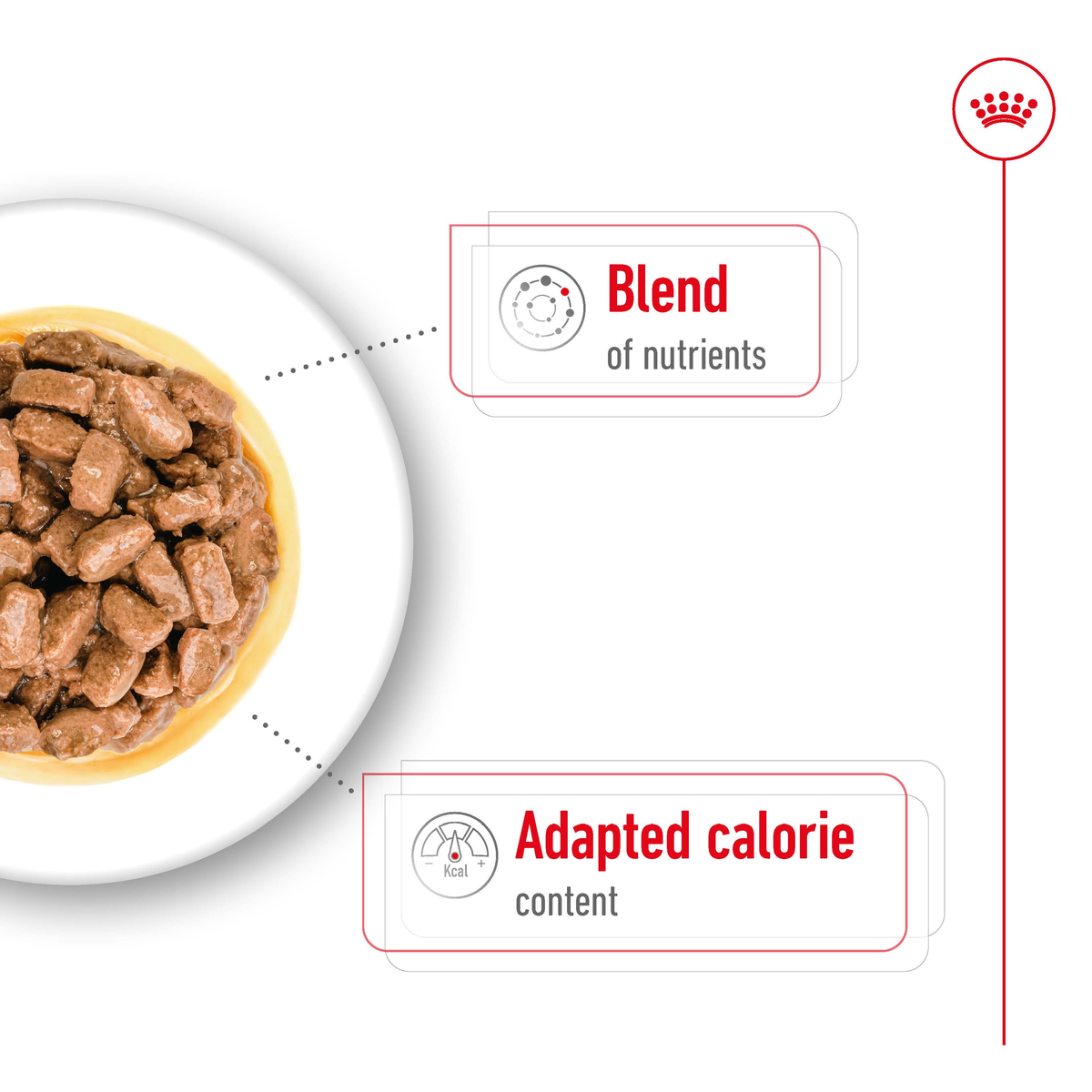 Royal Canin Mini Ageing Gravy Wet Dog Food