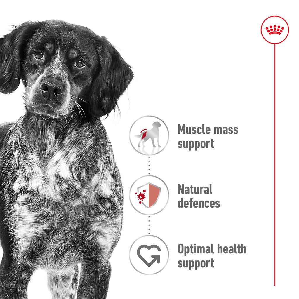 Royal Canin Medium Adult 140gx10 Pouches