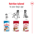Royal Canin Medium Adult 140gx10 Pouches