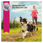 Eukanuba Dry Dog Food Adult Small Breed