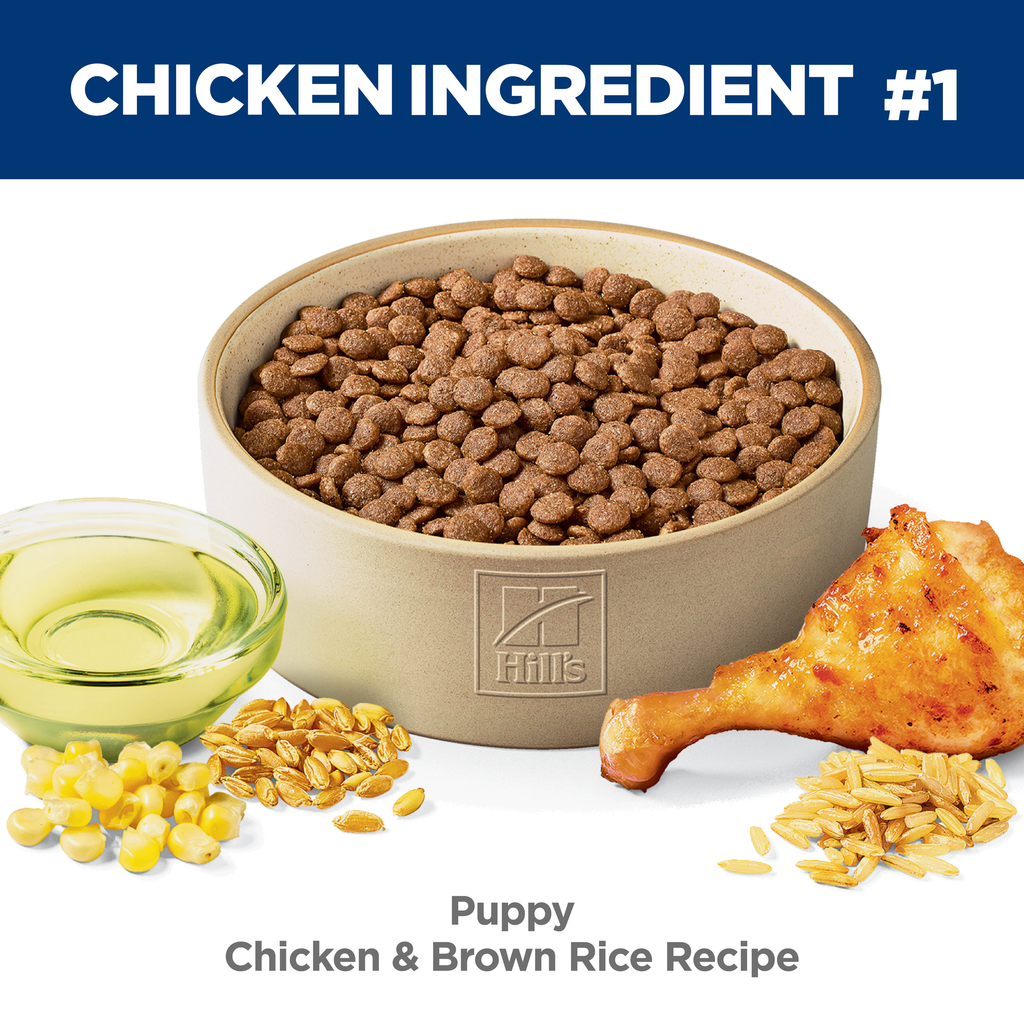 Hill's Science Diet Dry Dog Food Puppy