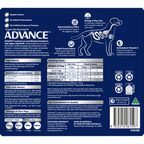 ADVANCE Adult Single Serve Wet Dog Food Trays with Turkey
