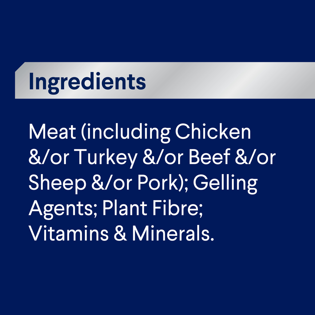 ADVANCE Adult Single Serve Wet Dog Food Trays with Turkey