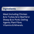 ADVANCE Adult Single Serve Wet Dog Food Trays with Turkey
