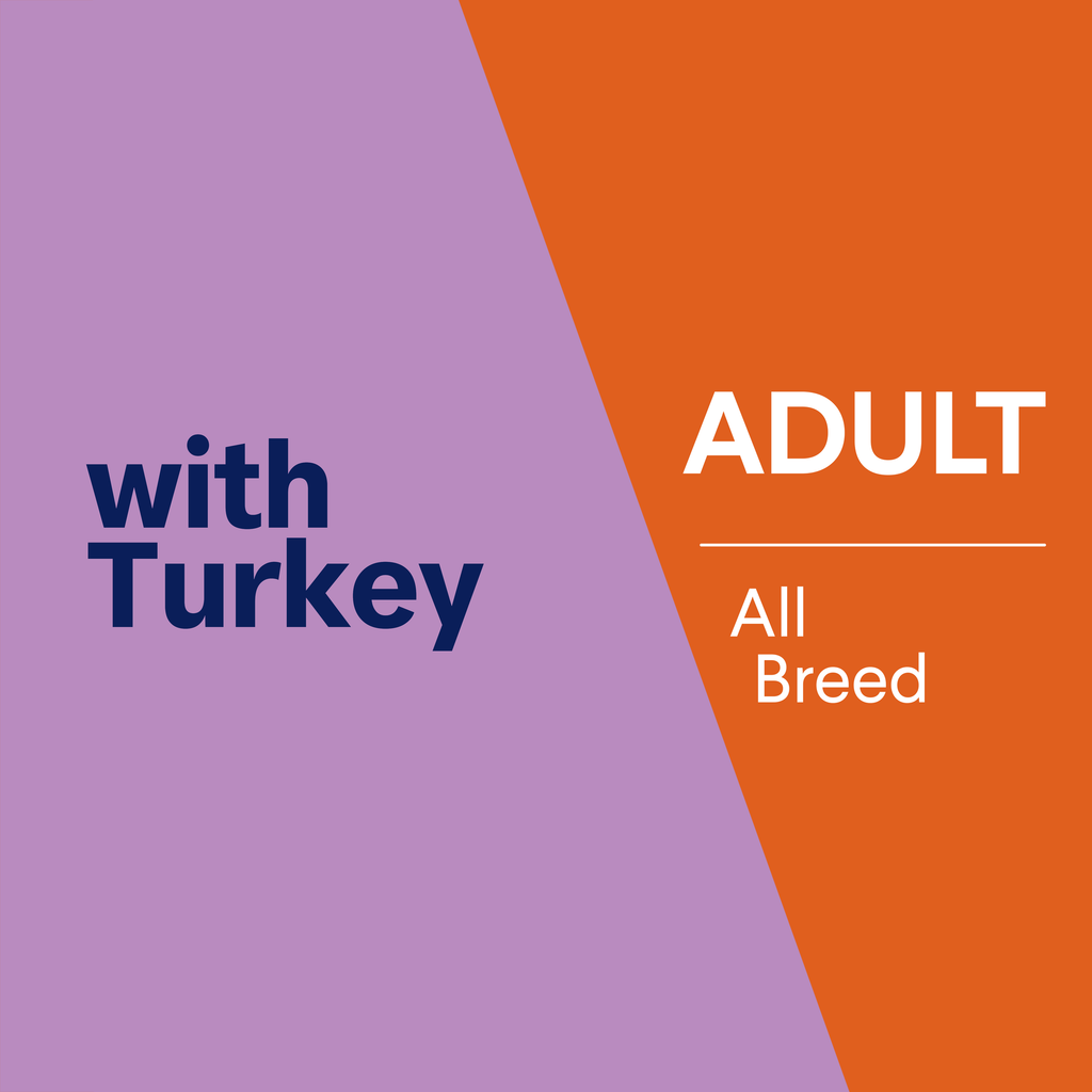 ADVANCE Adult Single Serve Wet Dog Food Trays with Turkey