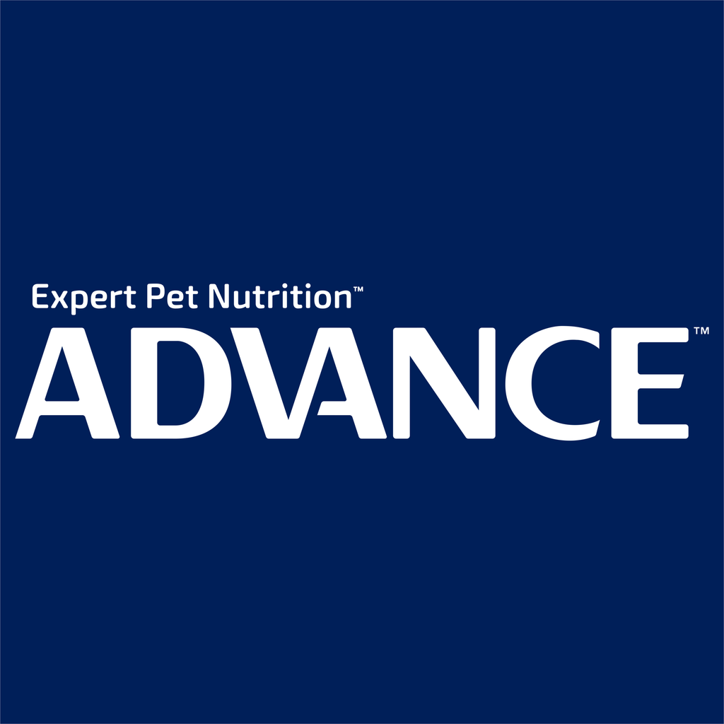 ADVANCE Adult Single Serve Wet Dog Food Trays with Turkey