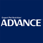 ADVANCE Adult Single Serve Wet Dog Food Trays with Turkey