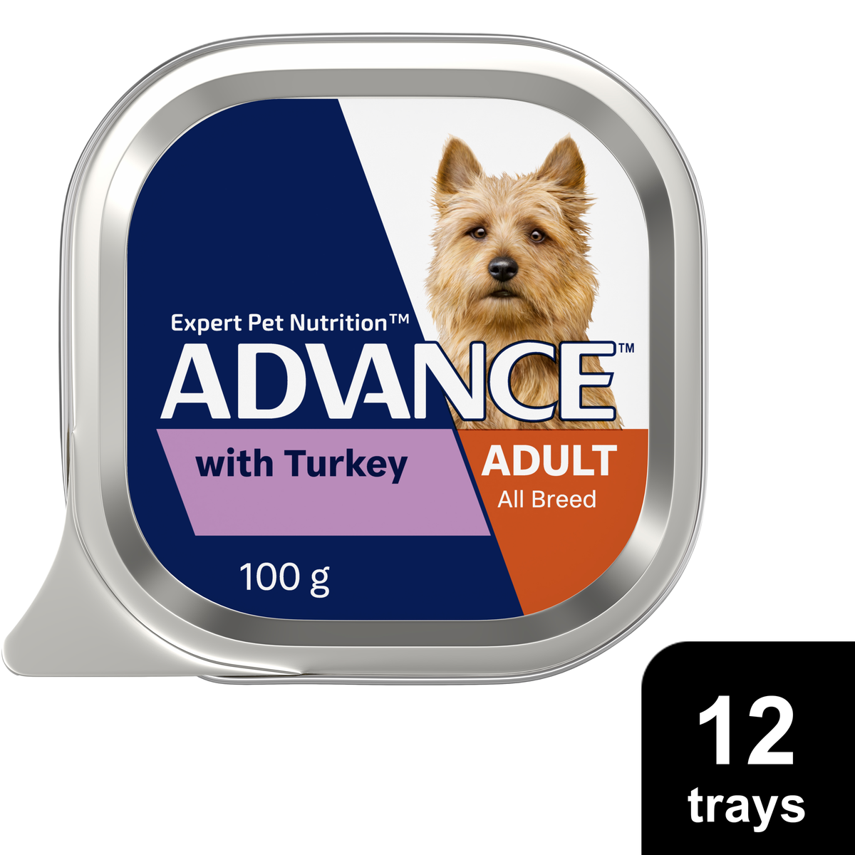 ADVANCE Adult Single Serve Wet Dog Food Trays with Turkey