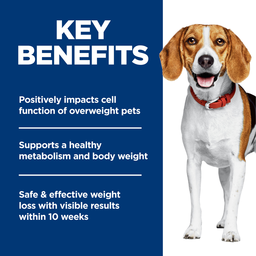 Hill's Science Diet Dry Dog Food Adult Perfect Weight Small Bites