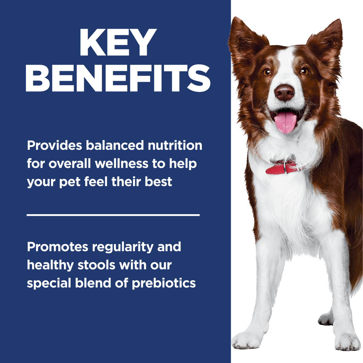 Hill's Science Diet Dry Dog Food Perfect Digestion Adult