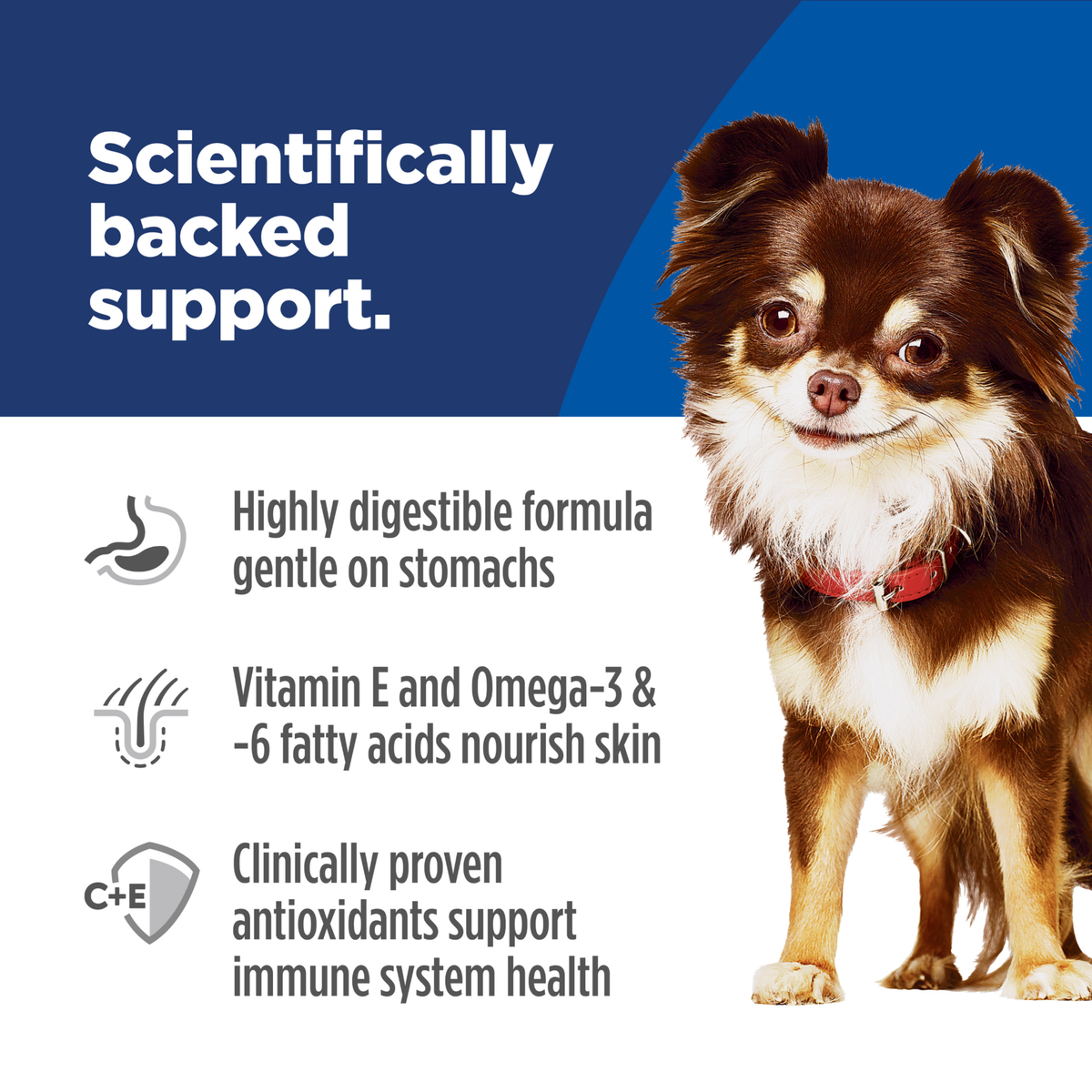 Hill's Science Diet Dry Dog Food Adult Sensitive Skin & Stomach Small & Mini