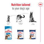 Royal Canin Maxi Ageing 5+ Loaf Wet Dog Food Can