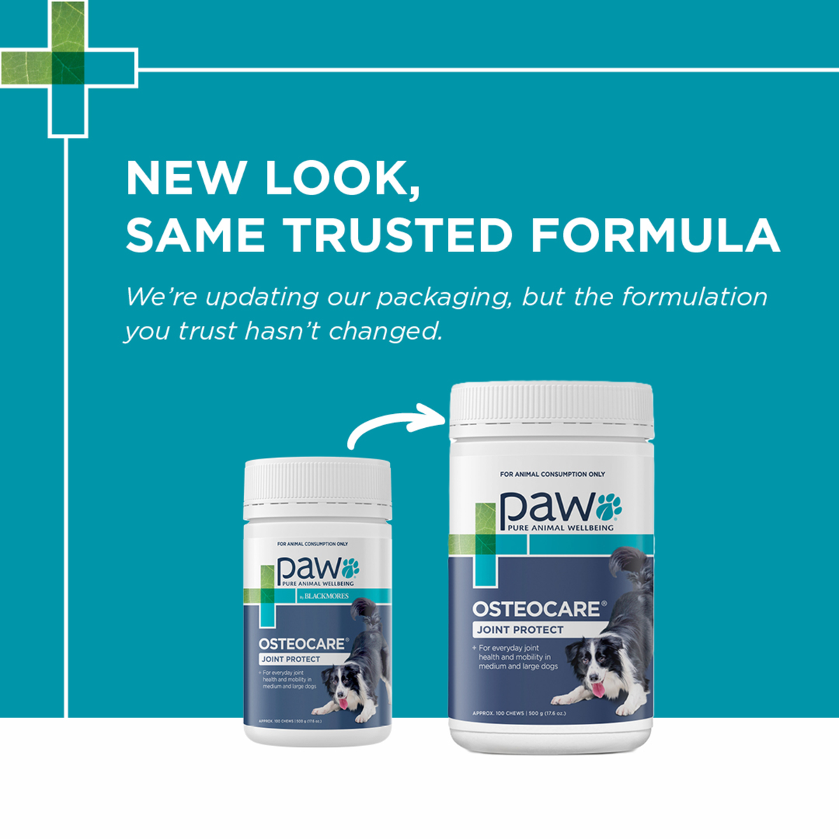 PAW by Blackmores OsteoCare Joint Protect Chews