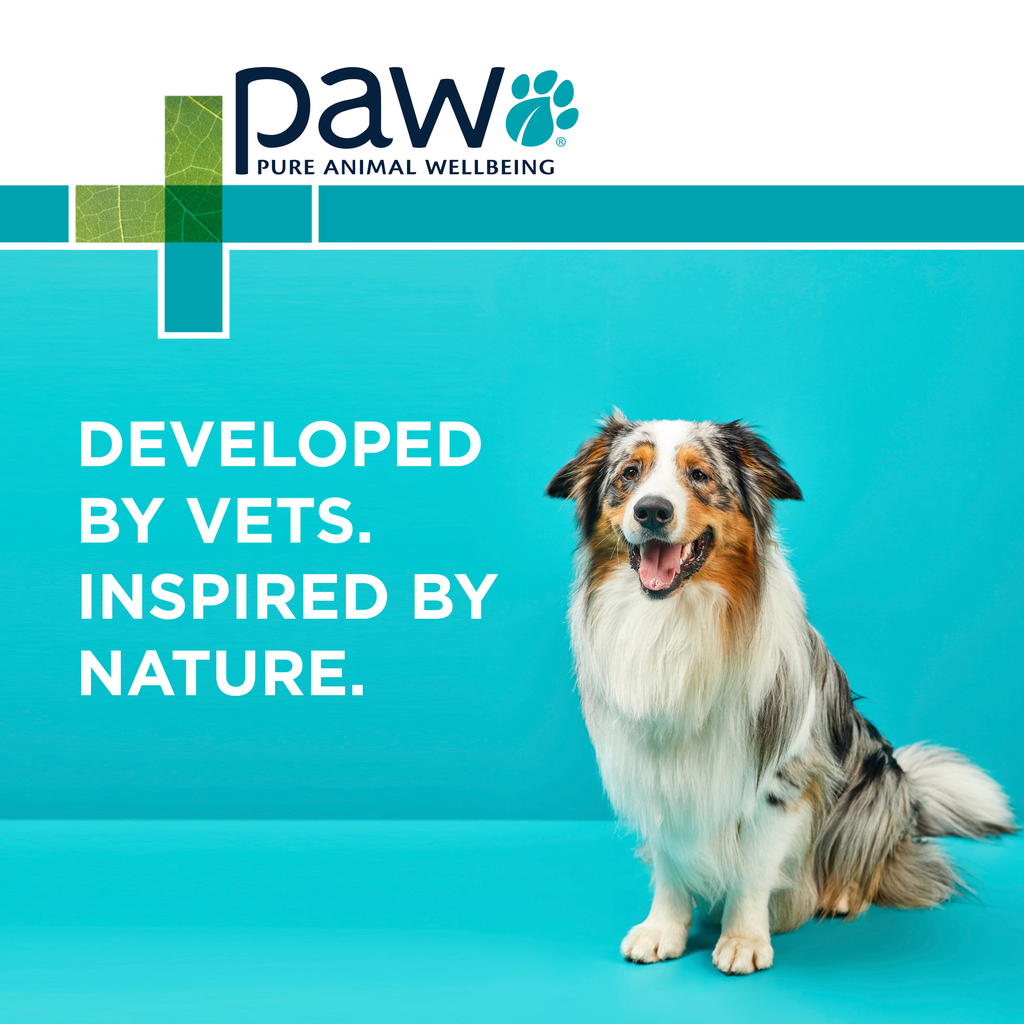 PAW by Blackmores OsteoCare Joint Protect Chews