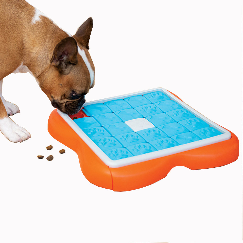 Nina Ottosson Dog Challenge Sliderr - Level 3