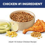 HILLS Science Diet Chicken Indoor Adult Dry Cat Food