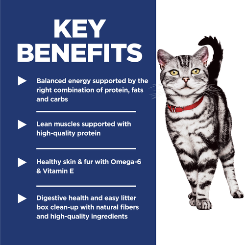 HILLS Science Diet Chicken Indoor Adult Dry Cat Food