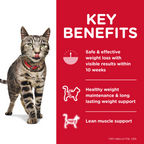 HILLS Science Diet Perfect Weight Chicken Adult Dry Cat Food