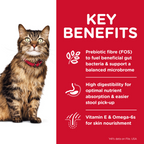 HILLS Science Diet Sensitive Stomach & Skin Chicken & Rice Adult Dry Cat Food